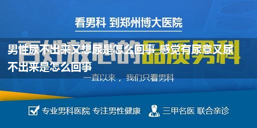 男性尿不出来又想尿是怎么回事_感觉有尿意又尿不出来是怎么回事