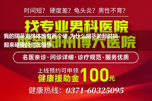 我的阴茎海绵体唯有两个硬_为什么阴茎勃起时摸起来硬硬的何况很热